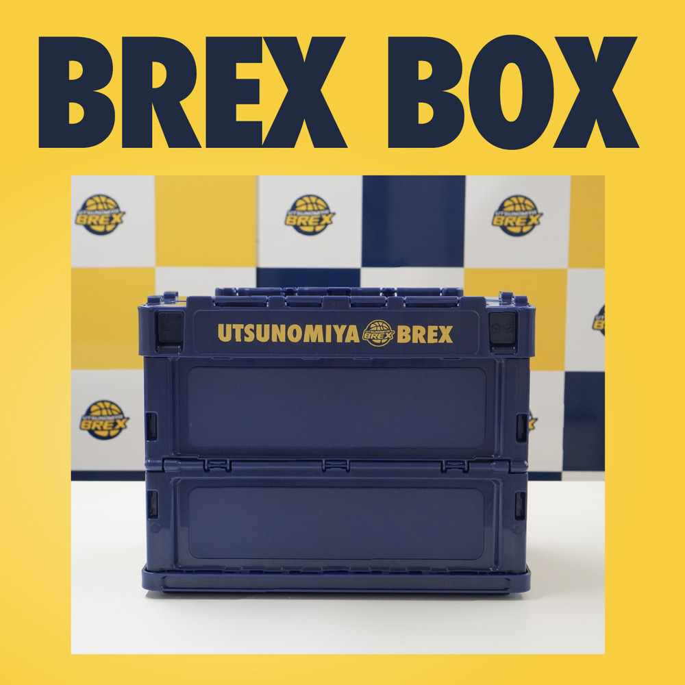 2022-23 BREX折りたたみ収納BOX 詳細画像 1カラー 1