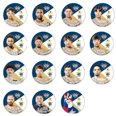 【琉球ゴールデンキングス】りそなグループ B.LEAGUE FINALS 2024-25 シークレット缶バッジ