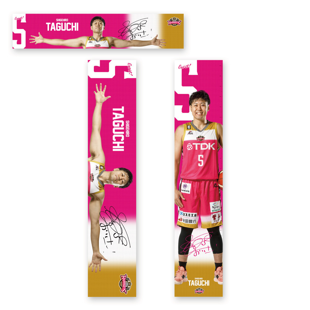 選手ウイングスパン＆等身大タペストリー 詳細画像 #5 TAGUCHI 1