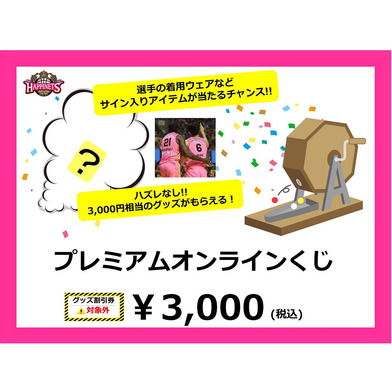 【グッズ割引券対象外商品、受注販売】2024-25_プレミアムオンラインくじ