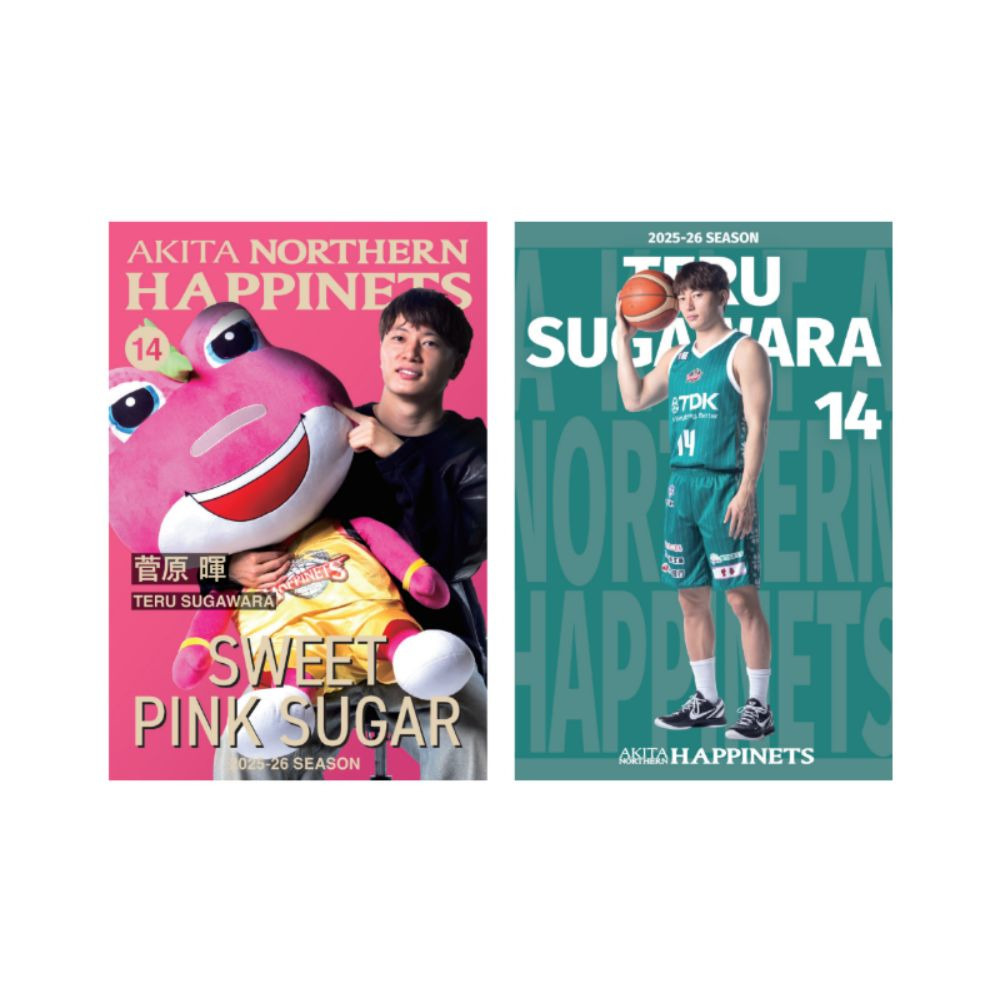 2025-26_推しポストカードセット 詳細画像 #14 SUGAWARA 1