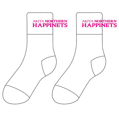 【一般向け】ミドルソックス