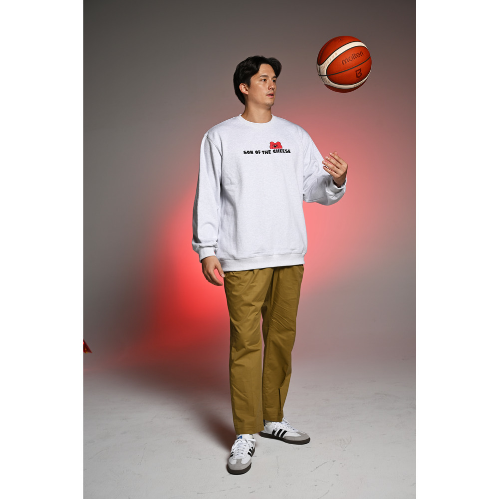 SOTC Print Sweatshirt (ROOK) GRAY 詳細画像 1