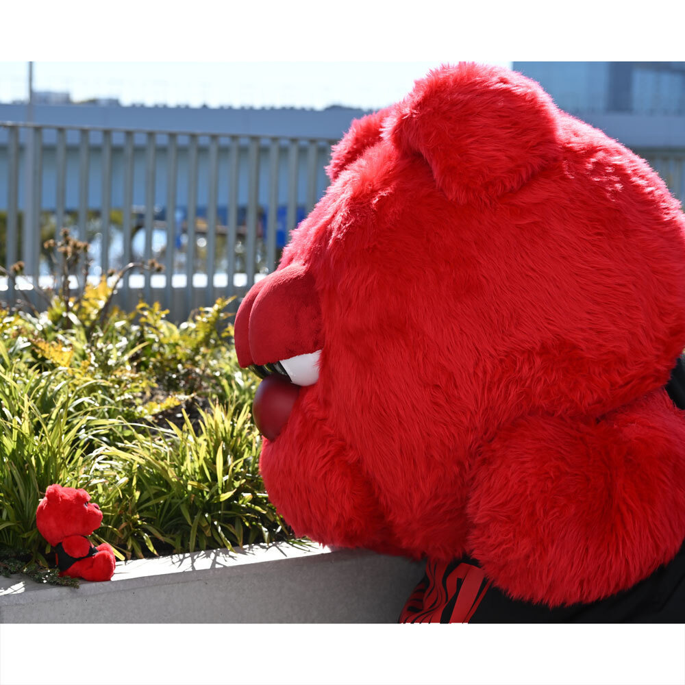 ルークぬいぐるみ（いつもいっしょ） 詳細画像 6