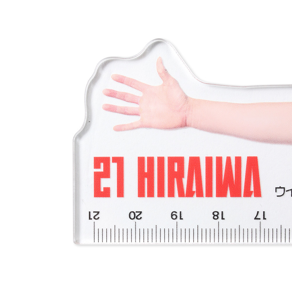 ウィングスパン定規 詳細画像 #21 平岩 玄 3