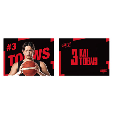 プレーヤーズ両面ハーフタオル