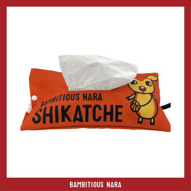 シカッチェティッシュカバー
