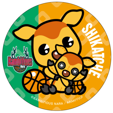 今週のシカッチェ_シカッチェ×シカッチェ