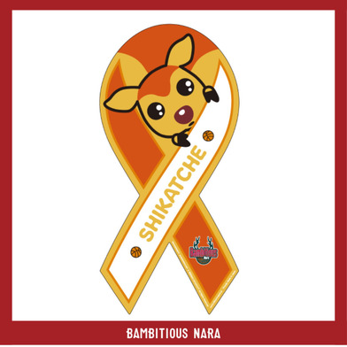 リボンマグネット（ロゴ/シカッチェ）