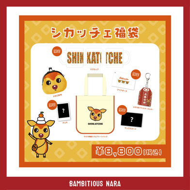 2026シカッチェ福袋