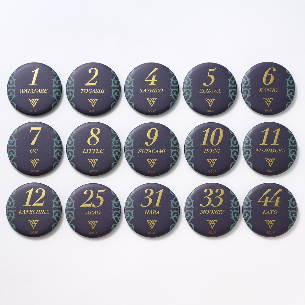 15TH ｼｰｸﾚｯﾄ選手ﾈｰﾑ＆ﾅﾝﾊﾞｰ缶ﾊﾞｯｼﾞ 詳細画像 1