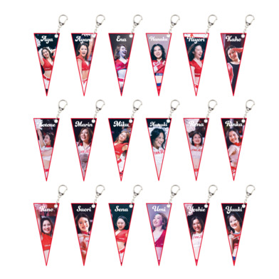 STAR JETS ｼｰｸﾚｯﾄﾐﾆﾍﾟﾅﾝﾄｷｰﾎﾙﾀﾞｰ