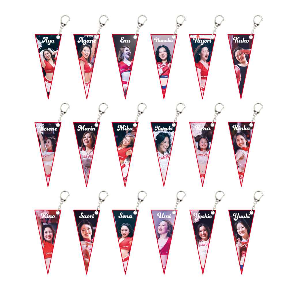 STAR JETS ｼｰｸﾚｯﾄﾐﾆﾍﾟﾅﾝﾄｷｰﾎﾙﾀﾞｰ 詳細画像 ONE 1