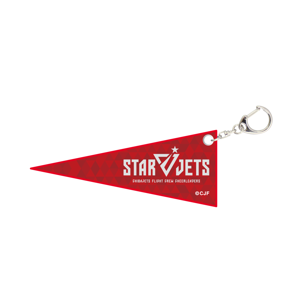 STAR JETS ｼｰｸﾚｯﾄﾐﾆﾍﾟﾅﾝﾄｷｰﾎﾙﾀﾞｰ 詳細画像 ONE 2