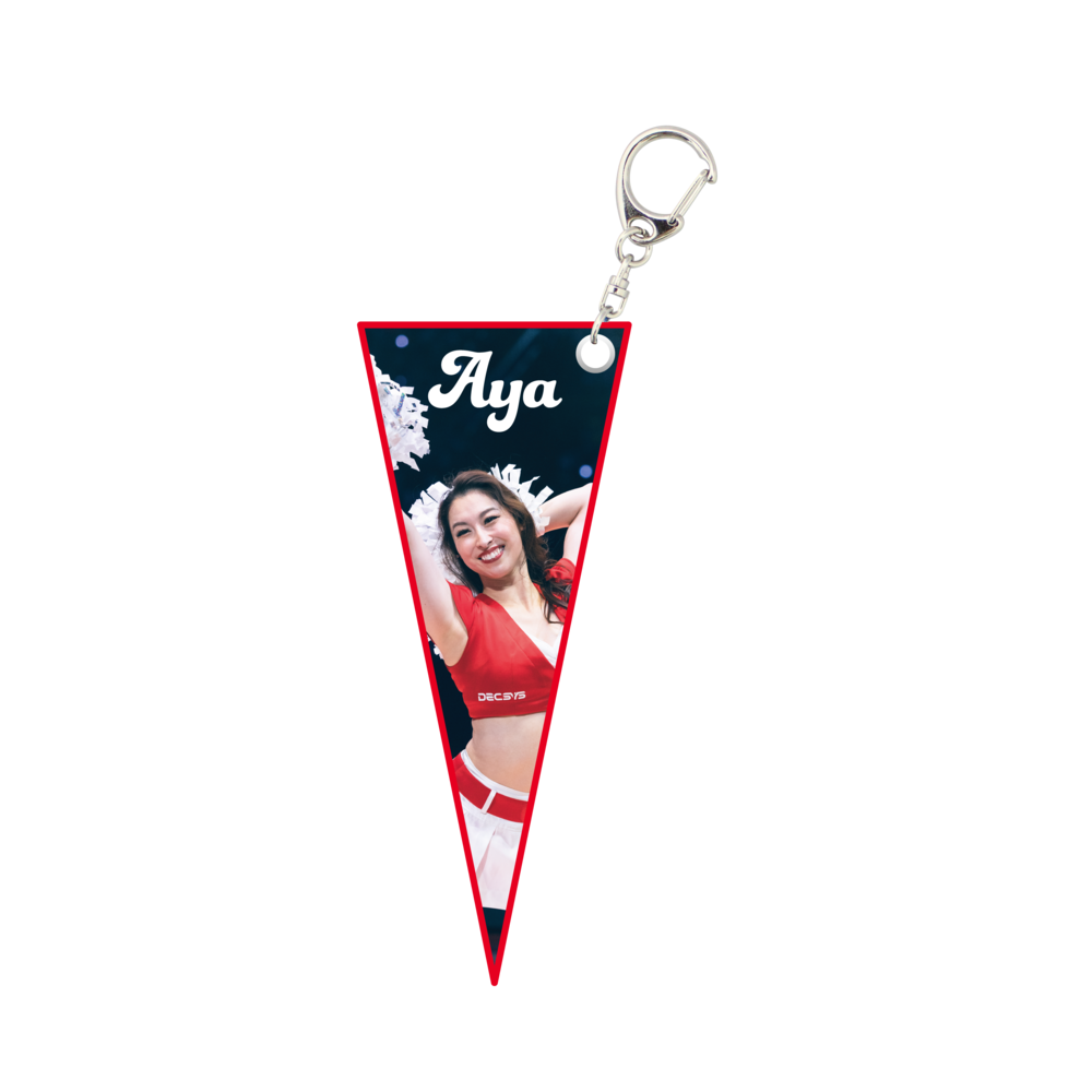 STAR JETS ｼｰｸﾚｯﾄﾐﾆﾍﾟﾅﾝﾄｷｰﾎﾙﾀﾞｰ 詳細画像 ONE 3