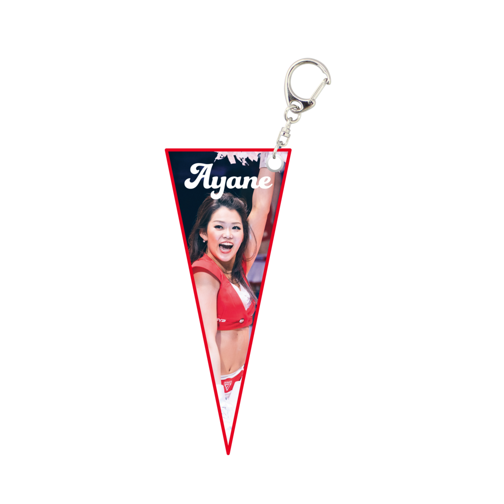 STAR JETS ｼｰｸﾚｯﾄﾐﾆﾍﾟﾅﾝﾄｷｰﾎﾙﾀﾞｰ 詳細画像 ONE 4