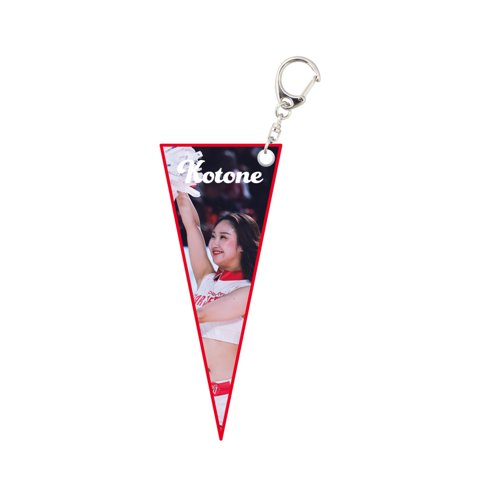 STAR JETS ｼｰｸﾚｯﾄﾐﾆﾍﾟﾅﾝﾄｷｰﾎﾙﾀﾞｰ 詳細画像 ONE 9