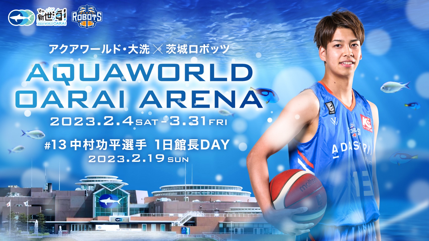 茨城ロボッツ｜B.LEAGUE（Bリーグ）公式オンラインショップ