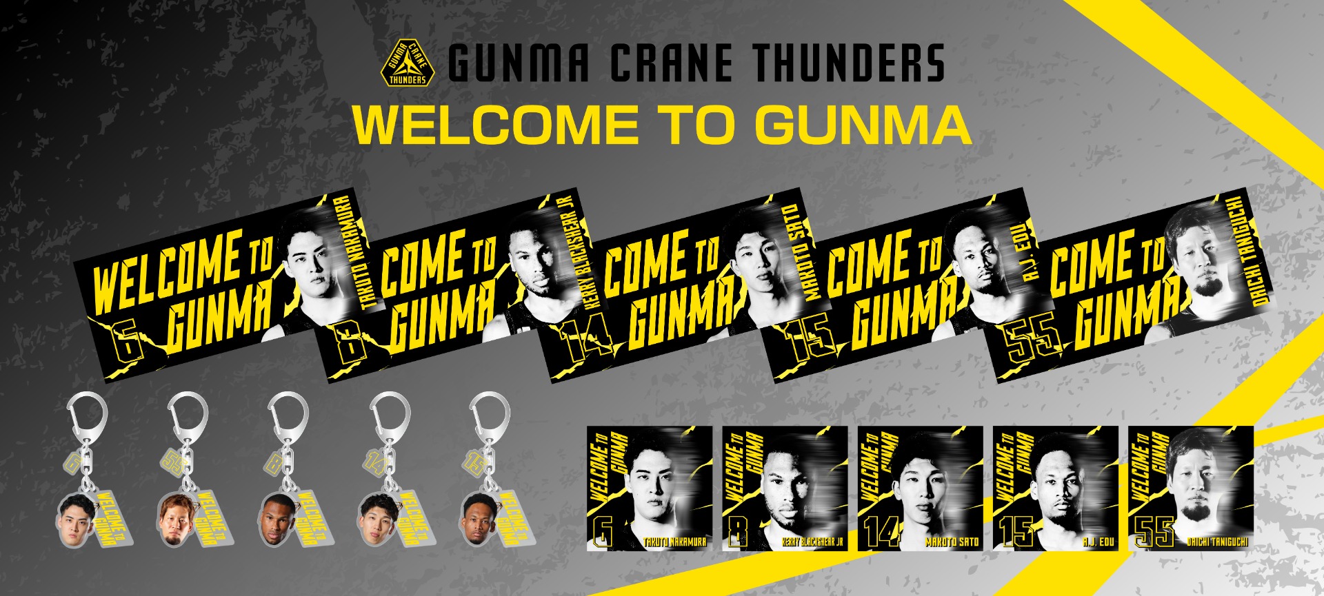 群馬クレインサンダーズ　缶バッジ　18個セット 群馬クレインサンダーズ ブラックシアー缶バッジ - メルカリ