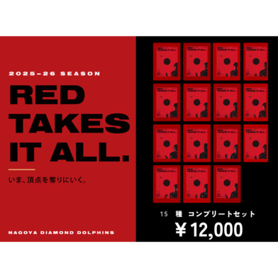 【数量限定】RED TAKES IT ALLポスターコンプリートセット