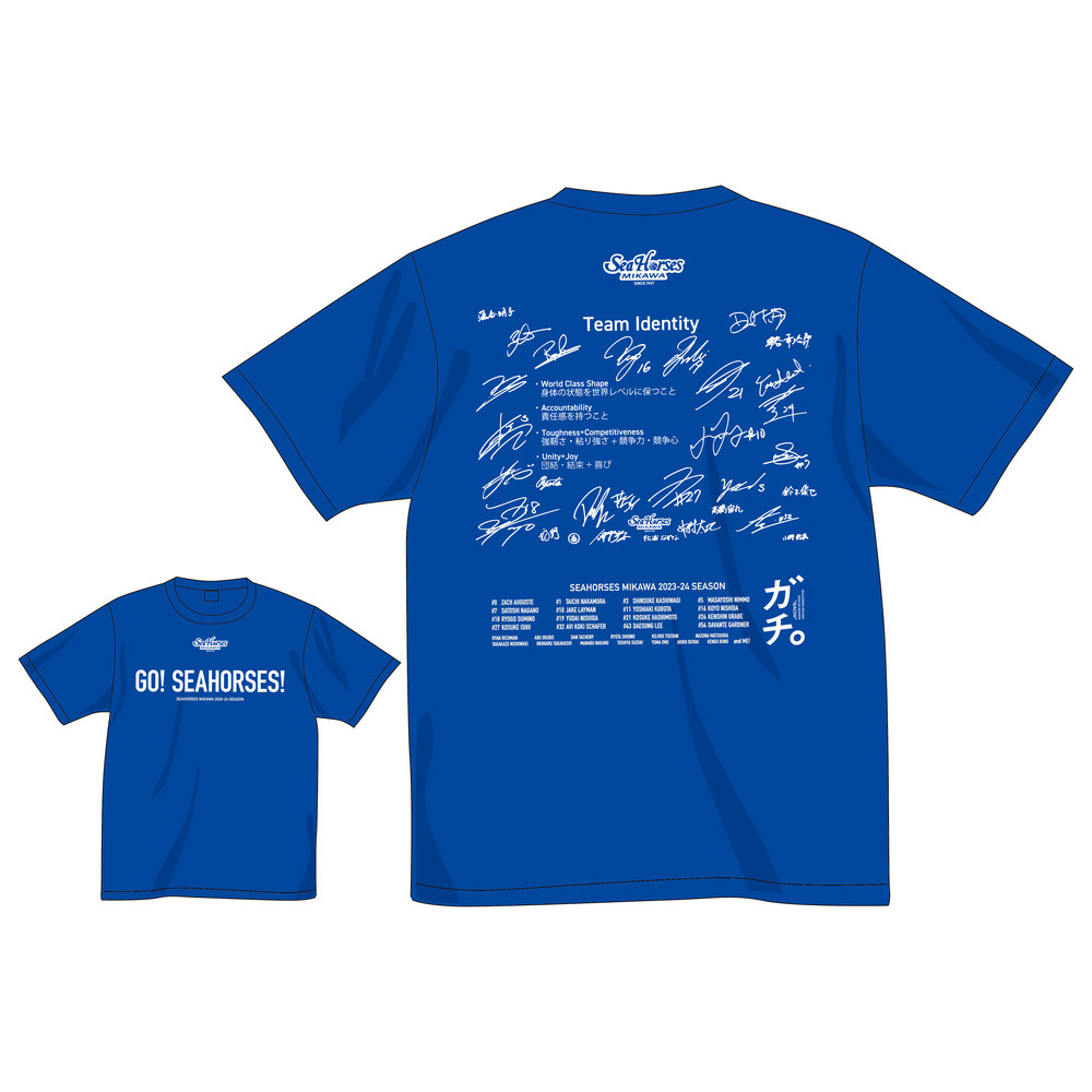 2023-24 Team Identity ドライTシャツ 詳細画像 ブルー 1