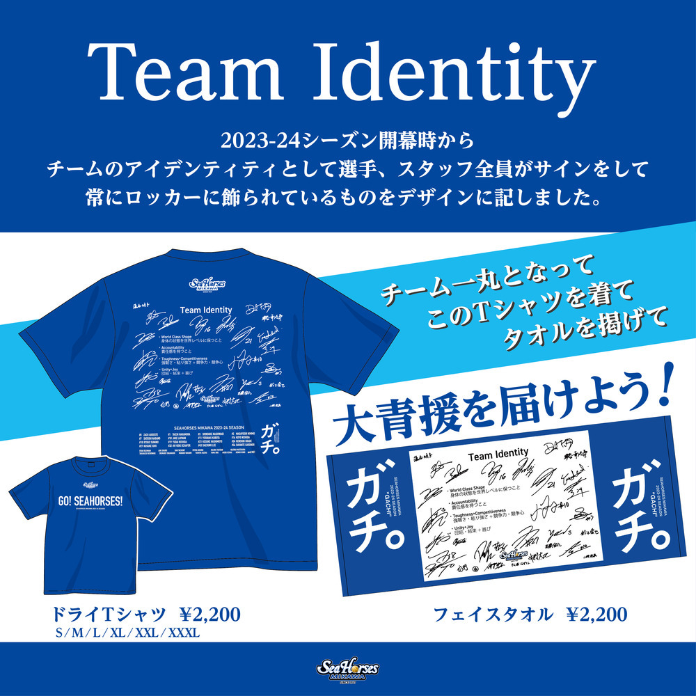 2023-24 Team Identity ドライTシャツ 詳細画像 ブルー 8