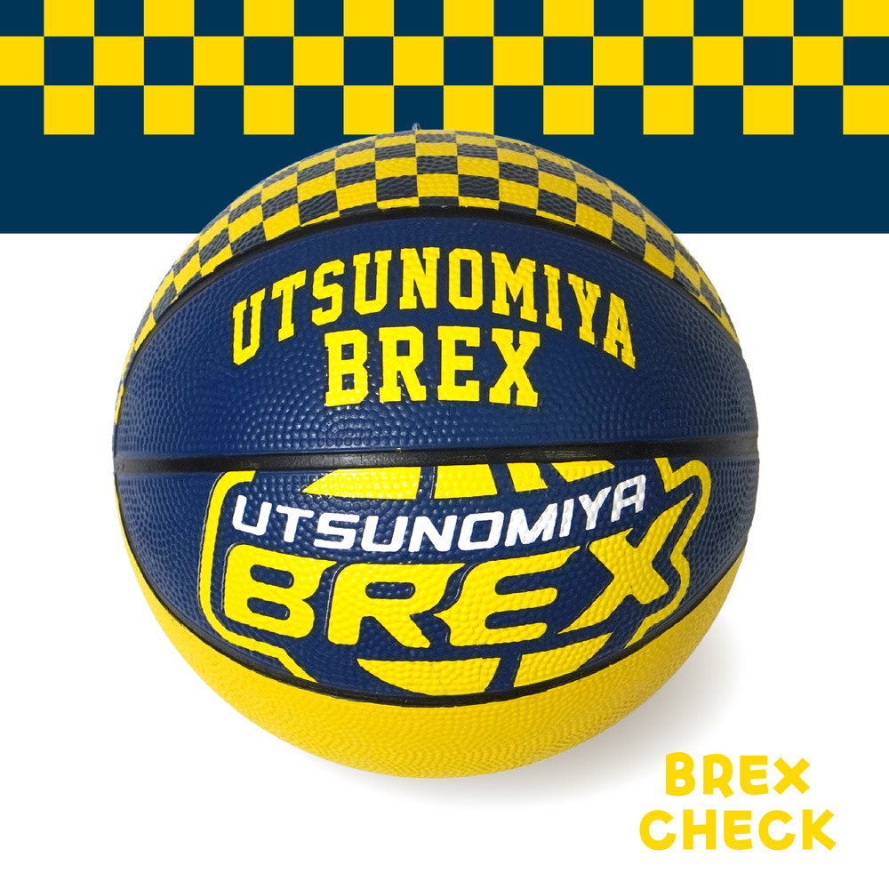 2026-27 バスケットボール２号球（BREX CHECK） 詳細画像 1カラー 1