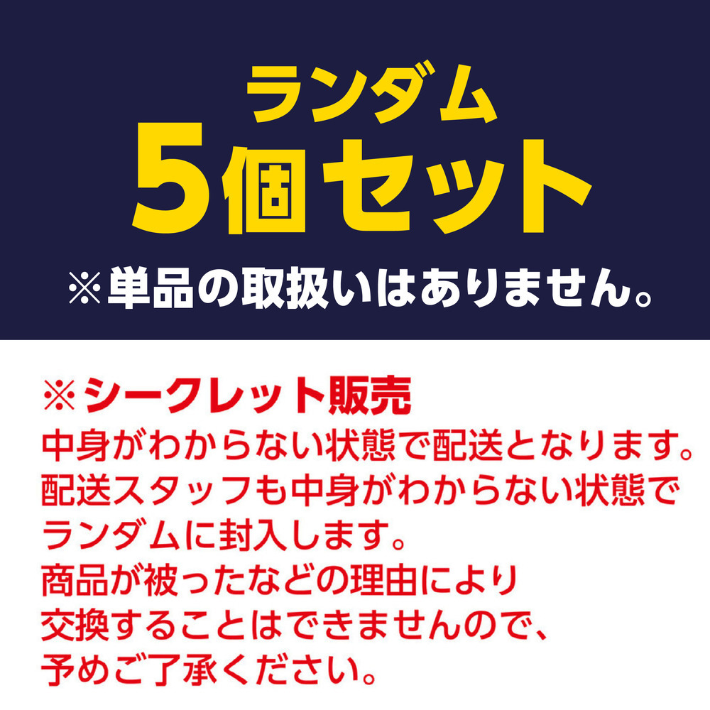 2026-27 選手ハロウィンクリップ（ランダム5個セット） 詳細画像 1カラー 5