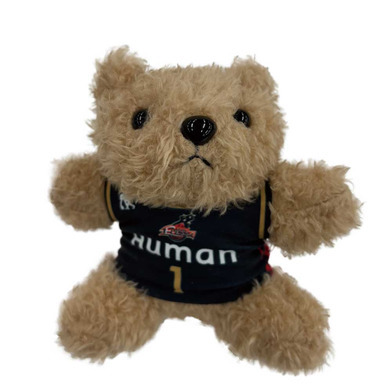 ユニフォームベア 2025-26 HOME