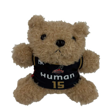 ユニフォームベア 2025-26 HOME