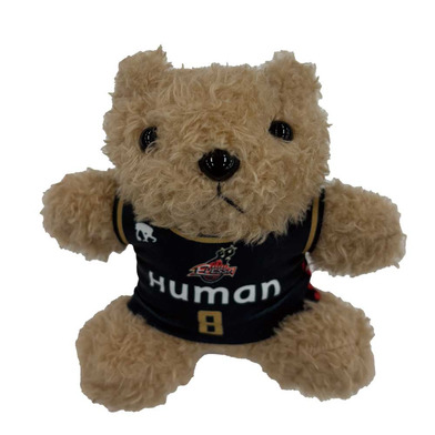 ユニフォームベア 2025-26 HOME