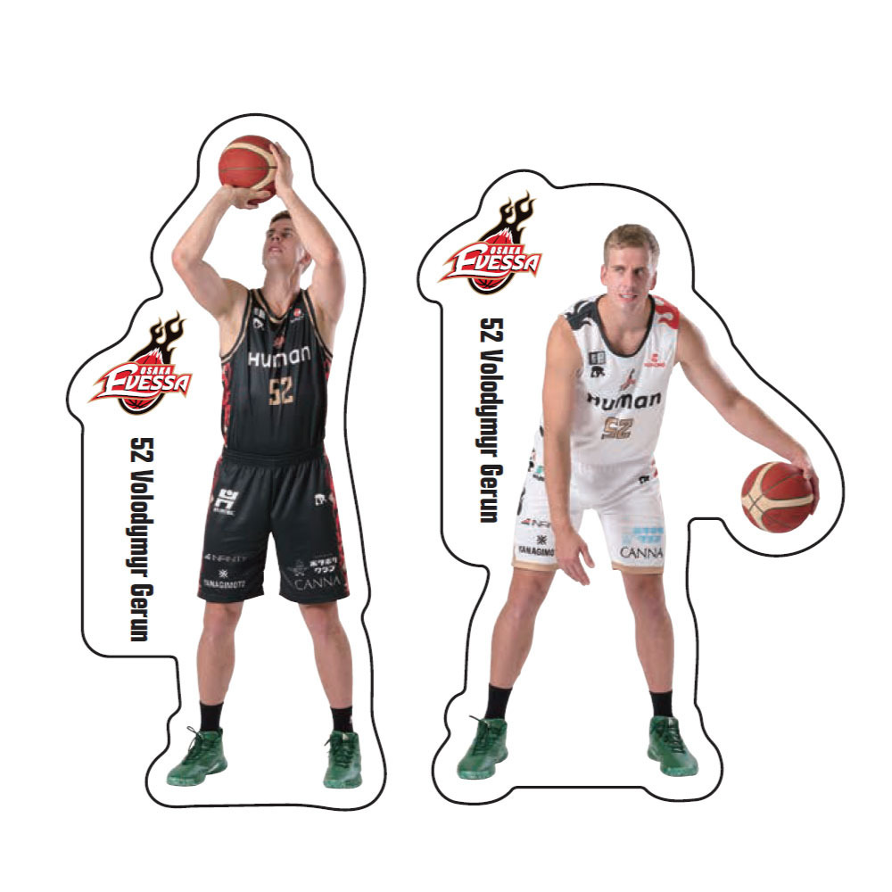 ダイカットステッカー2枚セット 詳細画像 52ヴォーディミル・ゲルン 1