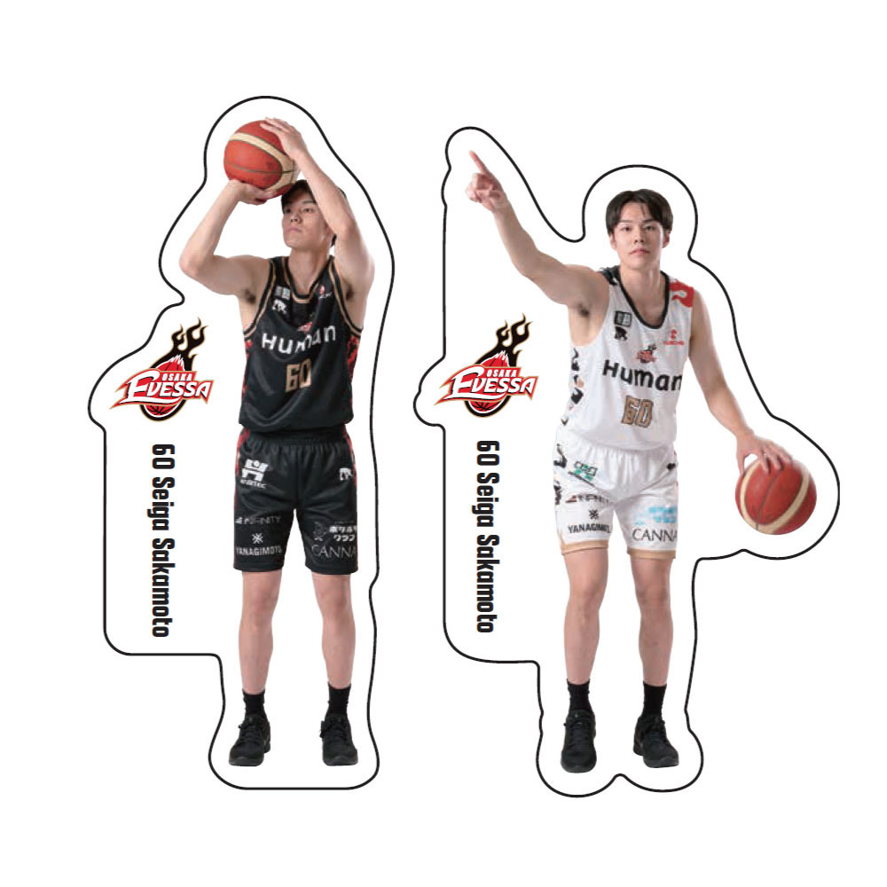 ダイカットステッカー2枚セット 詳細画像 60坂本聖芽 1