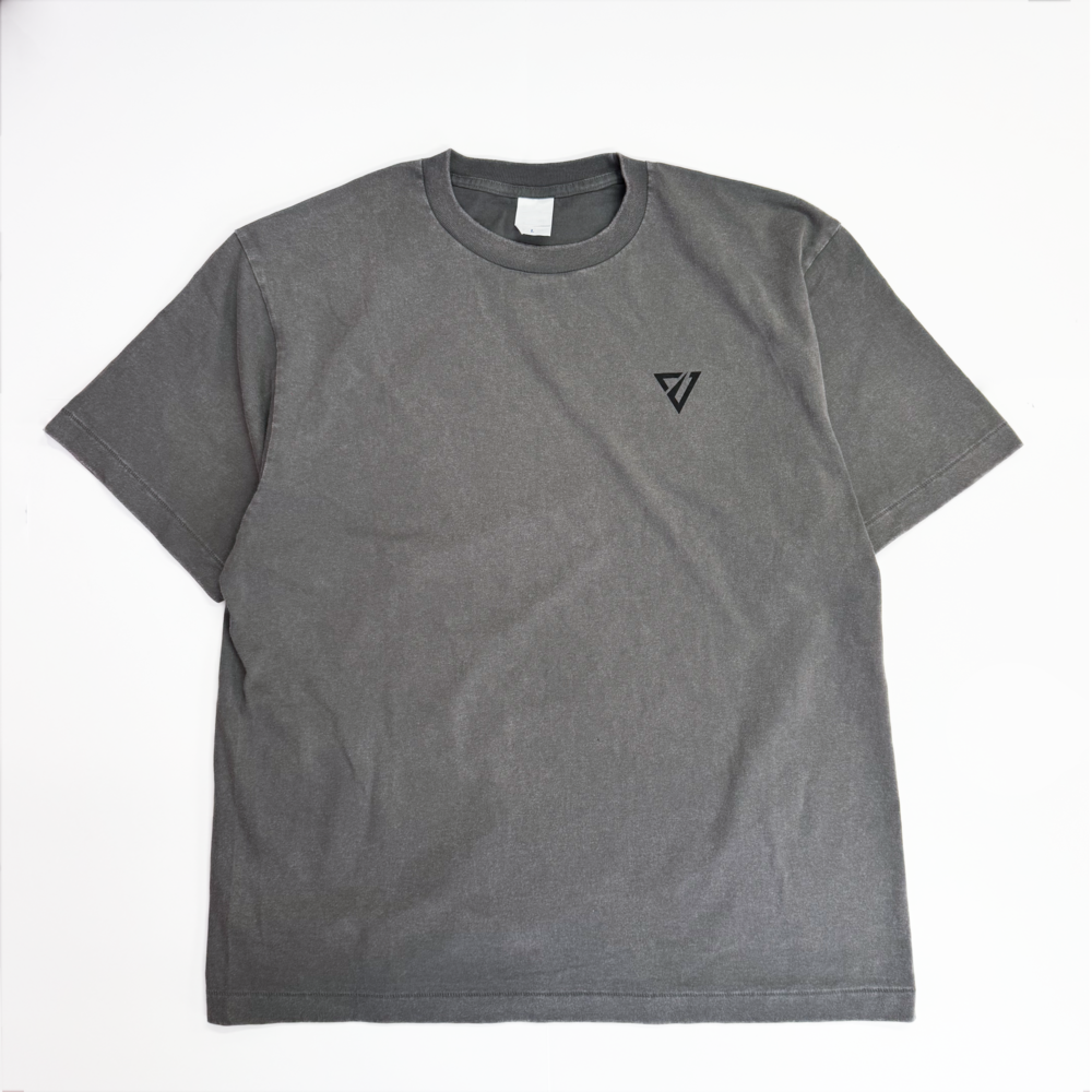 ﾀｲﾎﾟｸﾞﾗﾌｨｰ ﾌｪｰﾄﾞｳｫｯｼｭTｼｬﾂ 詳細画像 グレー 2