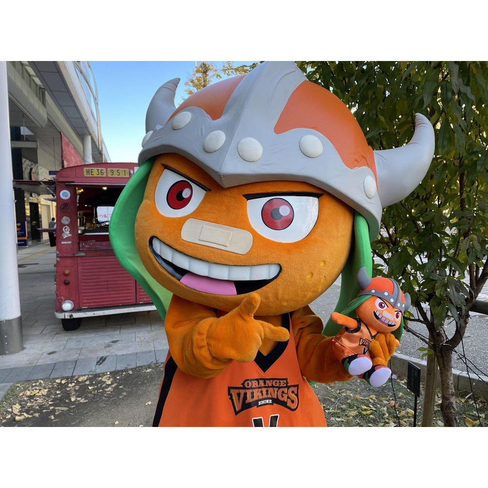 バルトぬいぐるみ 詳細画像 7