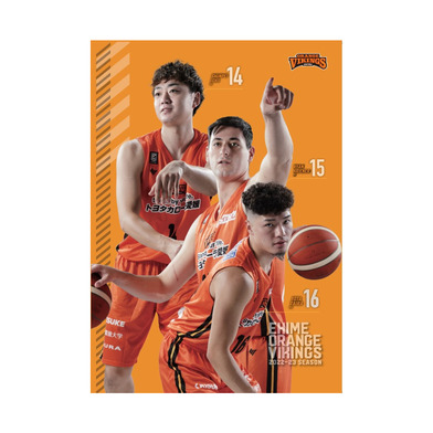 【毎月販売！】【12/5販売開始】選手クリアファイル