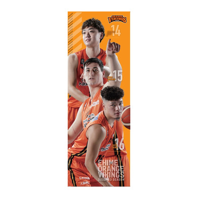 【毎月販売！】【12/5販売開始】選手短冊ポスター