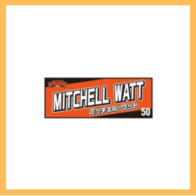 選手ネームタオル