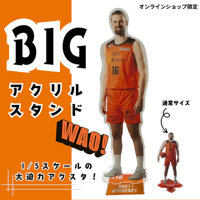 1/5スケール BIGアクスタ