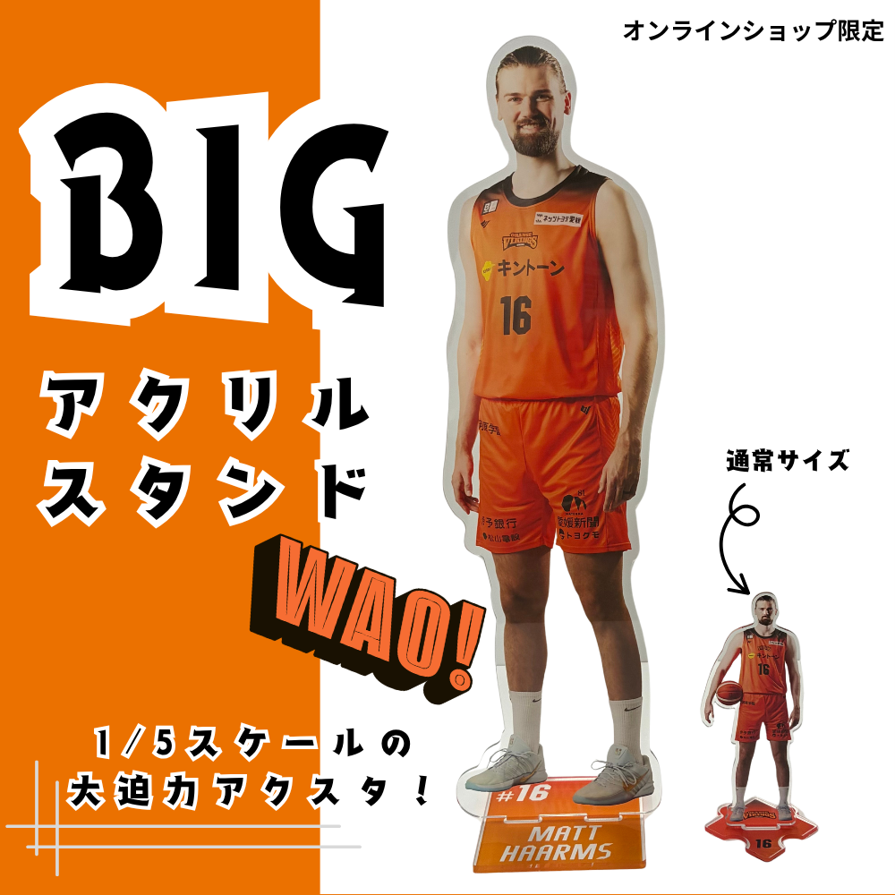 1/5スケール BIGアクスタ 詳細画像 #17　武内理貴 2