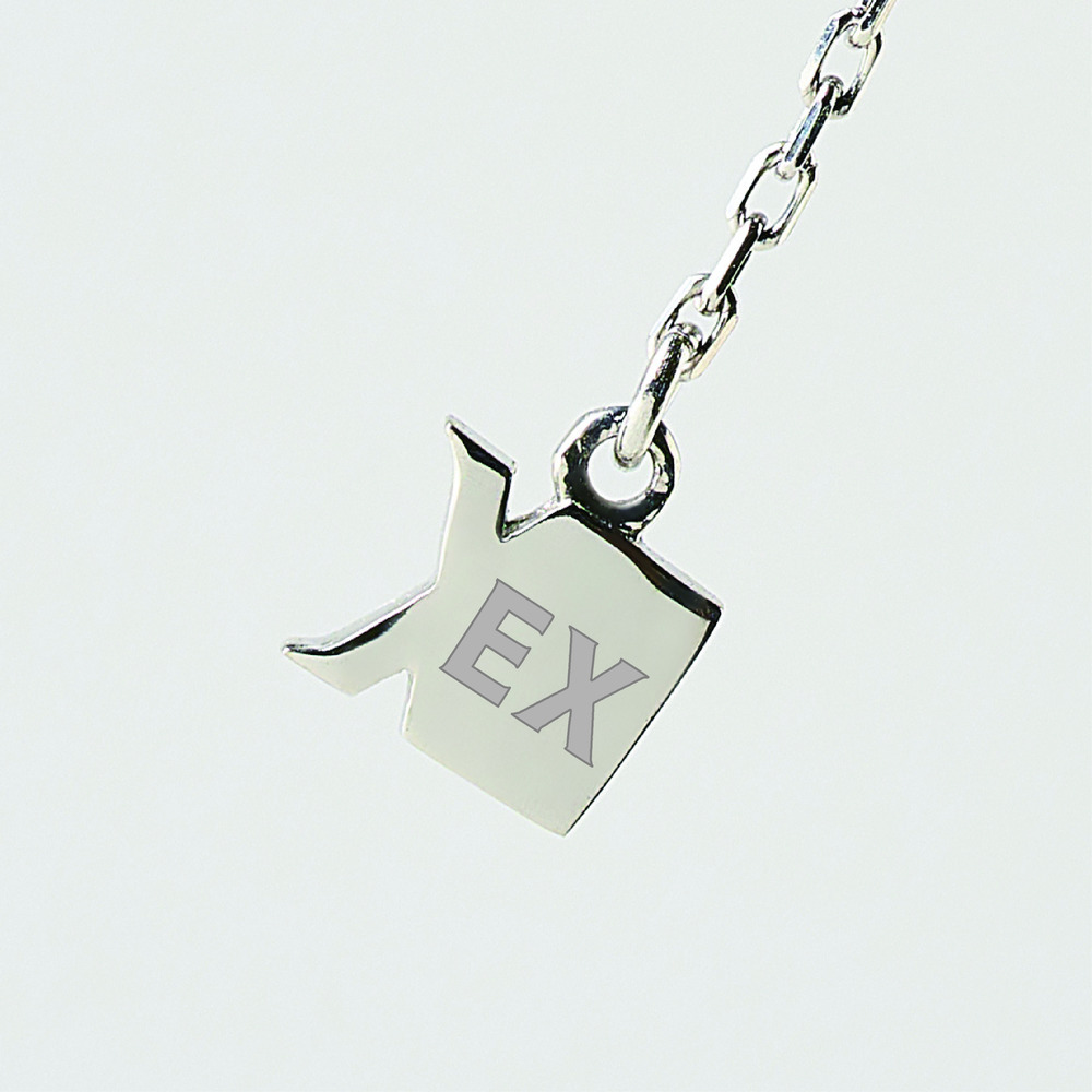 【受注商品】〈横浜エクセレンス×アートジュエリー コラボレーションジュエリー〉ペンダントネックレス EXCELLENCE 詳細画像 フリー 6