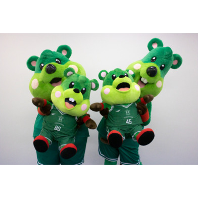 BIG Pick＆Roll ぬいぐるみ※セット購入の場合は商品説明欄のクーポンコードをご入力の上割引価格でのご購入が可能となります