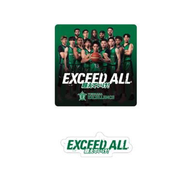 EXCEED ALL ステッカーセット