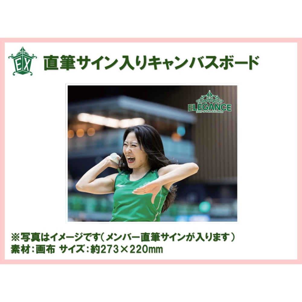 【受注販売】ELEGANCE福袋※商品説明欄をご確認の上ご購入をお願いいたします 詳細画像 Yuuna 2