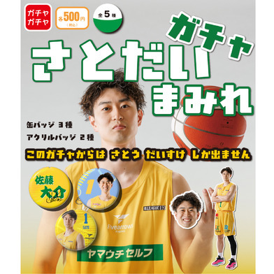 【PICK UP PLAYER】さとだいまみれガチャ