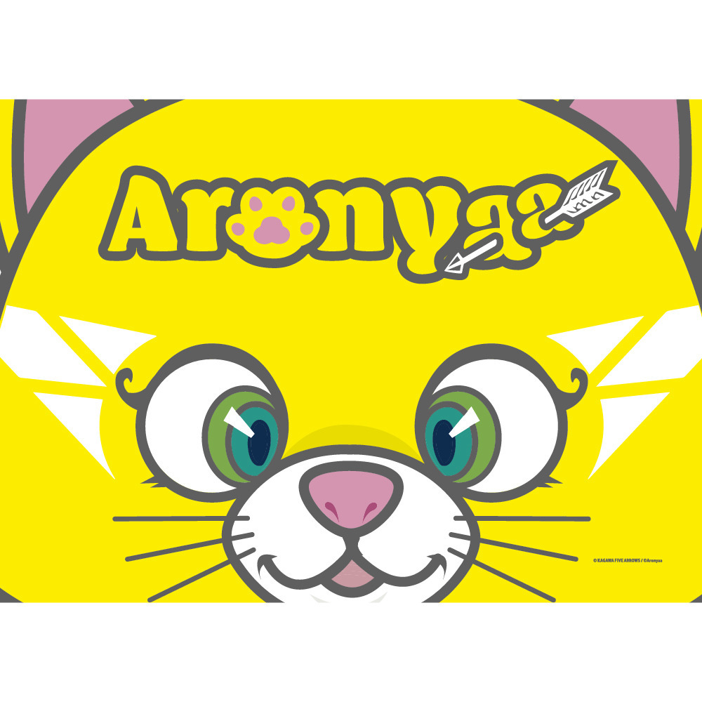 アロニャーどあっぷ！ブランケット 詳細画像 1