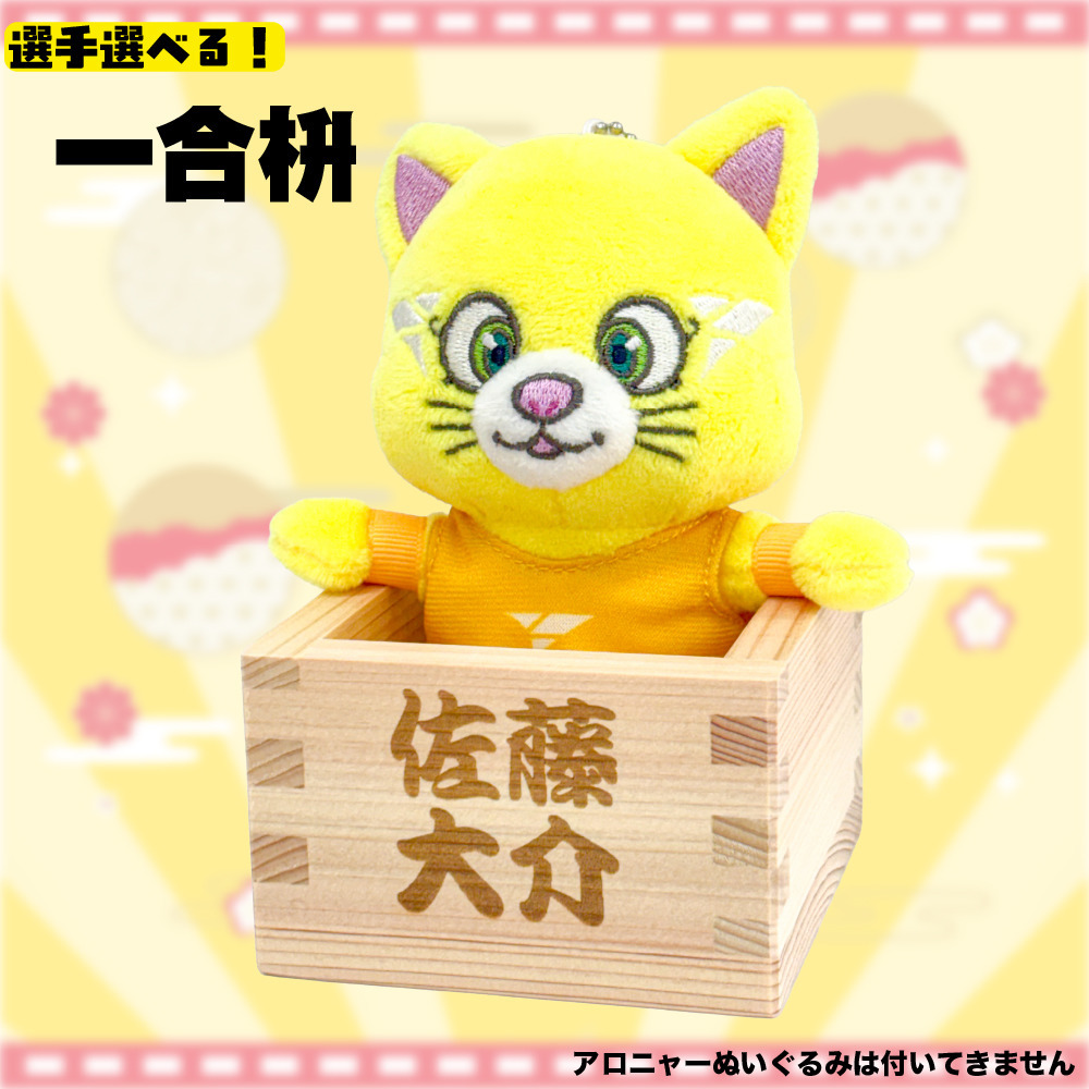 【30,000】アローズ福袋2026 詳細画像 アクリルスタンド【Bグループ】 5