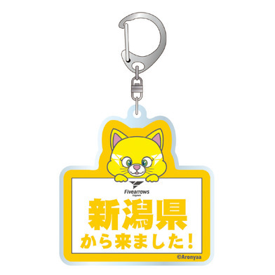 香川ファイブアローズ｜全商品｜B.LEAGUE（Bリーグ）公式オンライン