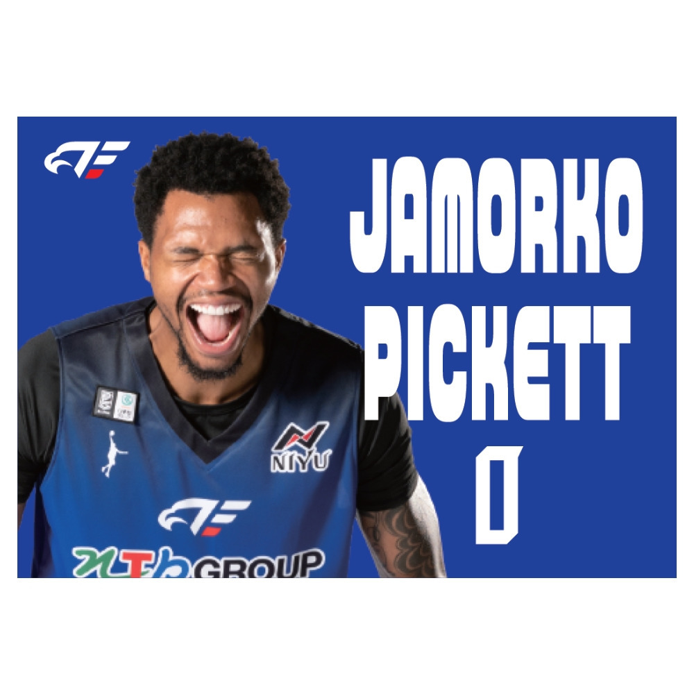 【受注】雄叫びブランケット 詳細画像 #0 PICKETT 2