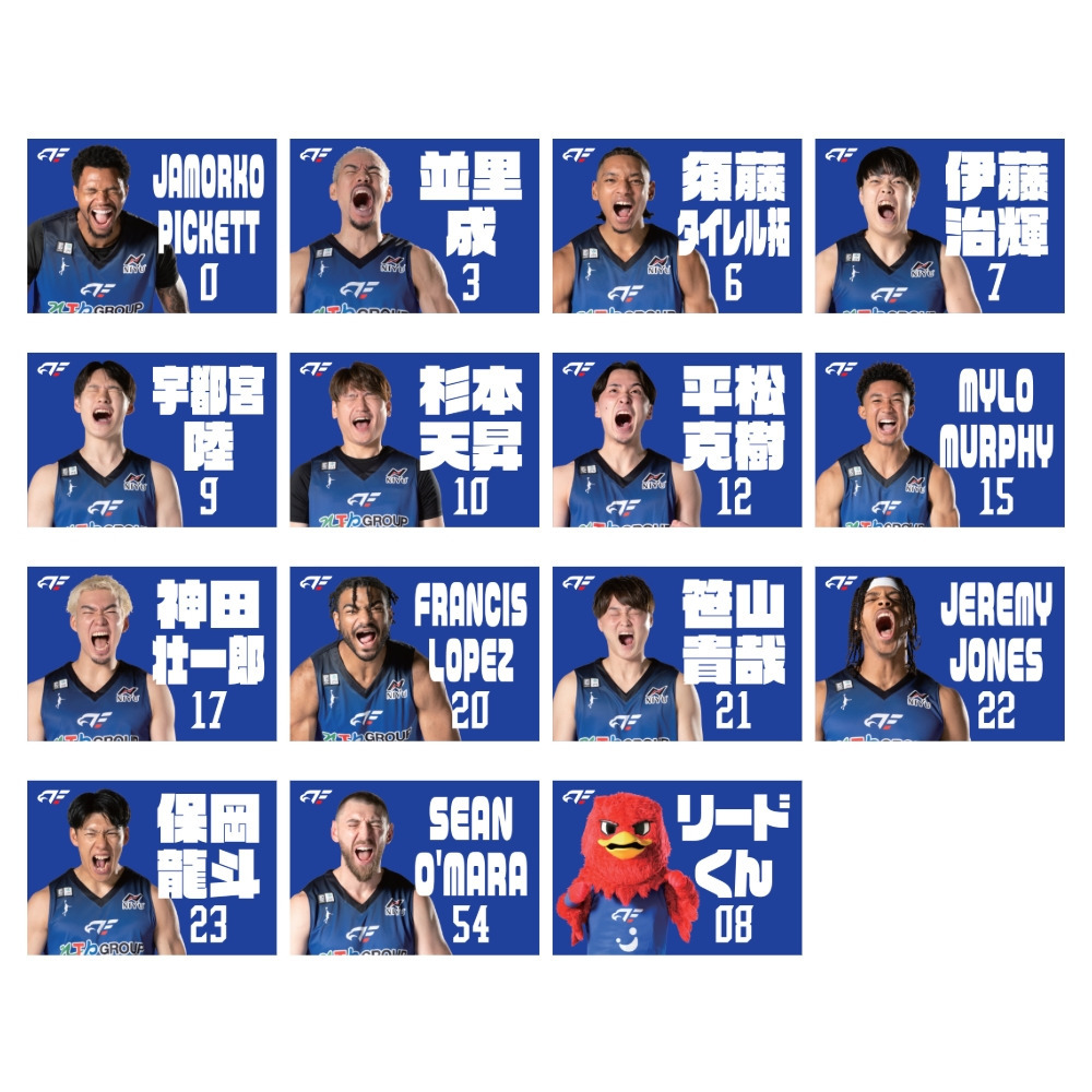 【受注】雄叫びブランケット 詳細画像 #20 LOPEZ 2